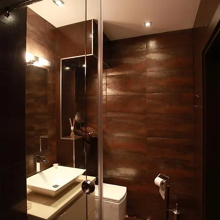 布朗平房公寓 索菲亞